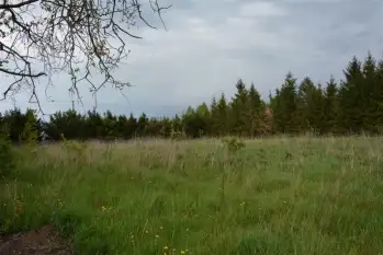 Sprzedam działkę budowlaną na Mazurach - zdjęcie 3